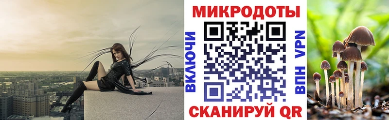 Галлюциногенные грибы GOLDEN TEACHER  omg ссылки  Тырныауз 