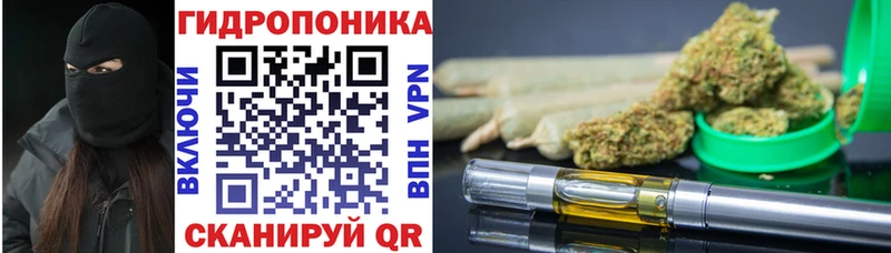 Канабис гибрид  купить   ссылка на мегу как зайти  Тырныауз 